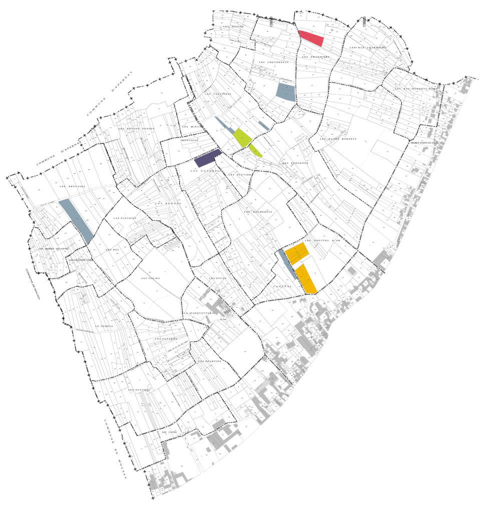 Plan des parcelles JMSélèque à Pierry